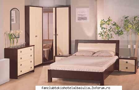 intamplare ciudata dormitorl ralucai:
