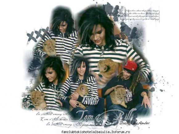 wallpapers with tokio hotel!