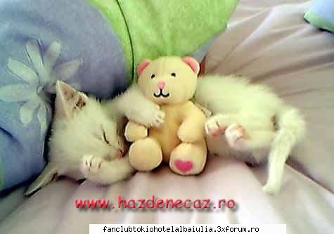 puncteaza super sweet daca tot plac
