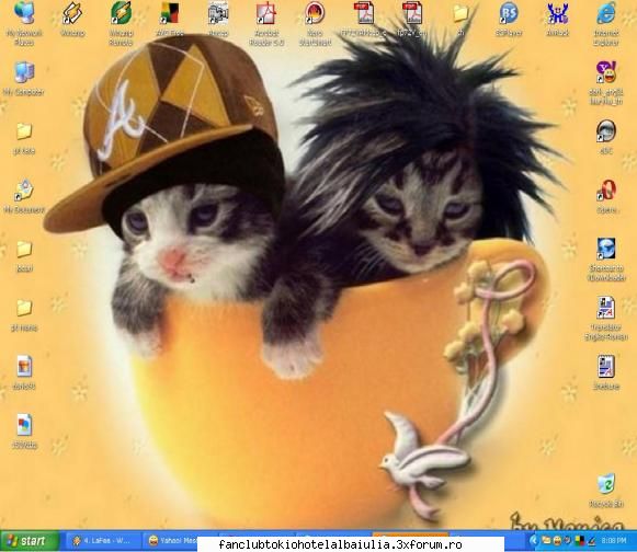 cum arata desktopul vostru pisici