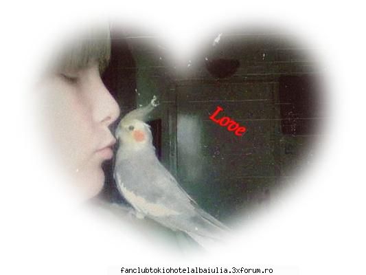 ola!sunt noua! pai numesc doryam ani,si locuiesc satu rocknu sunt deloc papagal nume chaky:xsi