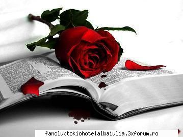 poze!! acu tarziu stau mai pun poze sunt prea fac asta...si georg gustav .... ....love him too