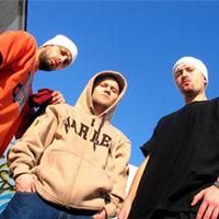 PARAZITII - Eu asc si parazitii dar si alte trupe gen verita - OTHER BANDS