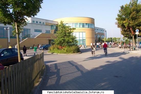 in fata scolii the begining