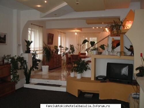 Visul Implinit - O camera de relaxare - ARHIVA FAN-FICURI