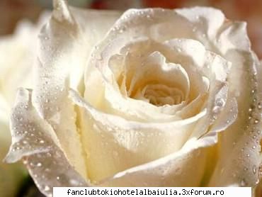 poveste din trei cuvinte - lauryka_th - ROLE PLAY